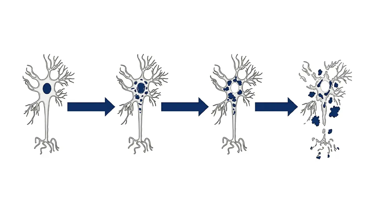 Aggregation mechanism diagram